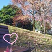 ヒメ日記 2025/11/21 14:59 投稿 みく チェックイン横浜女学園