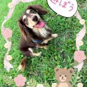 ヒメ日記 2025/11/30 11:13 投稿 みく チェックイン横浜女学園