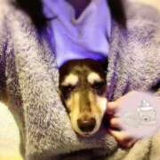 ヒメ日記 2025/12/01 23:30 投稿 みく チェックイン横浜女学園