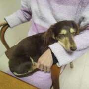 ヒメ日記 2026/01/06 00:35 投稿 みく チェックイン横浜女学園