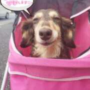 ヒメ日記 2026/01/12 10:00 投稿 みく チェックイン横浜女学園