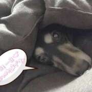 ヒメ日記 2026/01/13 00:27 投稿 みく チェックイン横浜女学園