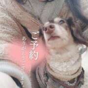 ヒメ日記 2026/01/28 16:17 投稿 みく チェックイン横浜女学園