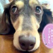 ヒメ日記 2026/02/01 22:46 投稿 みく チェックイン横浜女学園