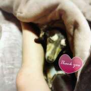 ヒメ日記 2026/02/27 00:34 投稿 みく チェックイン横浜女学園