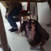 ヒメ日記 2026/03/03 23:24 投稿 みく チェックイン横浜女学園