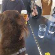 ヒメ日記 2026/03/06 00:02 投稿 みく チェックイン横浜女学園