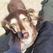 ヒメ日記 2026/03/12 23:17 投稿 みく チェックイン横浜女学園