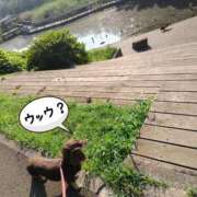 ヒメ日記 2026/09/03 21:19 投稿 みく チェックイン横浜女学園