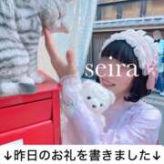 ヒメ日記 2025/01/27 19:23 投稿 せいら 贅沢なひと時