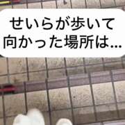 ヒメ日記 2025/02/14 11:47 投稿 せいら 贅沢なひと時