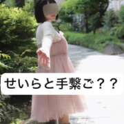 ヒメ日記 2025/03/30 06:44 投稿 せいら 贅沢なひと時