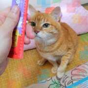 ヒメ日記 2025/01/20 10:47 投稿 なな 素人妻御奉仕倶楽部Hip's松戸店