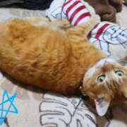 ヒメ日記 2025/03/13 12:58 投稿 なな 素人妻御奉仕倶楽部Hip's松戸店