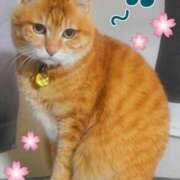 ヒメ日記 2025/03/15 11:48 投稿 なな 素人妻御奉仕倶楽部Hip's松戸店