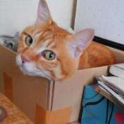 ヒメ日記 2025/03/26 16:28 投稿 なな 素人妻御奉仕倶楽部Hip's松戸店