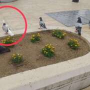 ヒメ日記 2025/07/02 13:49 投稿 なな 素人妻御奉仕倶楽部Hip's松戸店