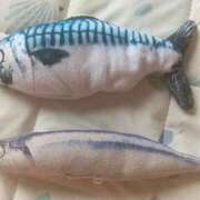 ヒメ日記 2025/09/13 09:29 投稿 なな 素人妻御奉仕倶楽部Hip's松戸店