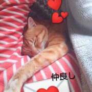 ヒメ日記 2025/12/05 07:39 投稿 なな 素人妻御奉仕倶楽部Hip's松戸店