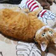 ヒメ日記 2025/12/26 08:49 投稿 なな 素人妻御奉仕倶楽部Hip's松戸店