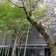 吉瀬(きちせ) どうもありがとうございました☺️🌸 相模原人妻城