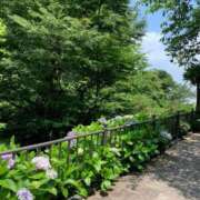 吉瀬(きちせ) どうもありがとうございます😊 相模原人妻城