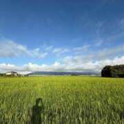 ヒメ日記 2025/08/20 08:11 投稿 葵 人妻デリバリーパコパコママ一宮店