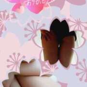 ヒメ日記 2025/03/15 15:48 投稿 椿 奈々(なな) 東京不倫～とうきょうふりん～