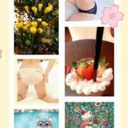 ヒメ日記 2025/03/26 08:48 投稿 椿 奈々(なな) 東京不倫～とうきょうふりん～