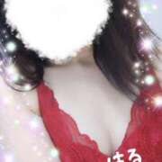 ヒメ日記 2024/12/11 21:25 投稿 はる マダムの品格