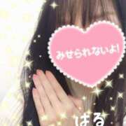 ヒメ日記 2024/12/16 16:38 投稿 はる マダムの品格