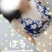 ヒメ日記 2024/12/18 22:12 投稿 はる マダムの品格