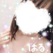 ヒメ日記 2024/12/19 19:22 投稿 はる マダムの品格