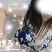 ヒメ日記 2024/12/24 11:23 投稿 はる マダムの品格