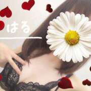 ヒメ日記 2025/01/11 14:38 投稿 はる マダムの品格