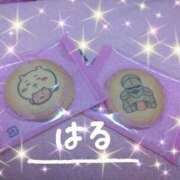 ヒメ日記 2025/01/17 17:30 投稿 はる マダムの品格