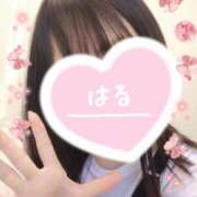 ヒメ日記 2025/02/28 17:14 投稿 はる マダムの品格