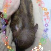 ヒメ日記 2025/05/26 21:26 投稿 はる マダムの品格