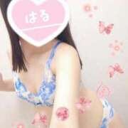 ヒメ日記 2025/06/25 18:53 投稿 はる マダムの品格