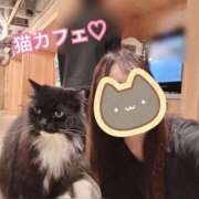 ヒメ日記 2026/04/10 07:42 投稿 まさみ 梅田アバンチュール