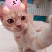 ヒメ日記 2025/09/28 13:44 投稿 愛 ニュー姫