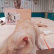 ヒメ日記 2026/03/11 10:35 投稿 愛 ニュー姫