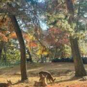 ヒメ日記 2025/12/09 14:12 投稿 ほたる the SPA KADOEBI