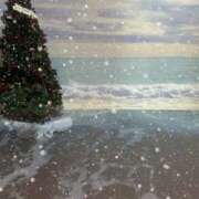 ヒメ日記 2025/12/24 17:42 投稿 ほたる the SPA KADOEBI