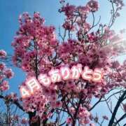 ヒメ日記 2026/05/01 00:12 投稿 ほたる the SPA KADOEBI