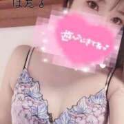 ヒメ日記 2026/05/05 10:52 投稿 ほたる the SPA KADOEBI