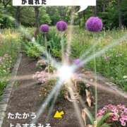 ヒメ日記 2026/05/25 21:22 投稿 ほたる the SPA KADOEBI