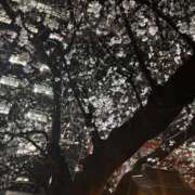 鈴華（りんか） 4月予約可能日 ニュー姫