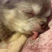 ヒメ日記 2026/01/29 10:05 投稿 あみ ニュー姫