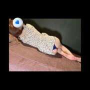 ヒメ日記 2025/06/05 13:13 投稿 りず 池袋千姫